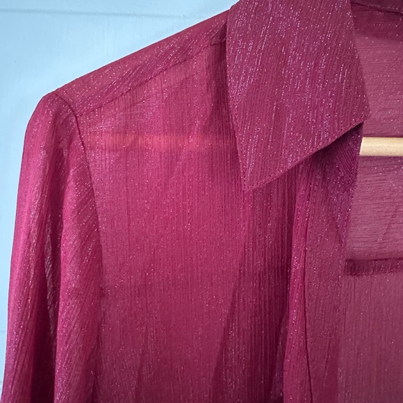 Express Burgundy Sheer Button-Up Blouse - Picture 3 of 6